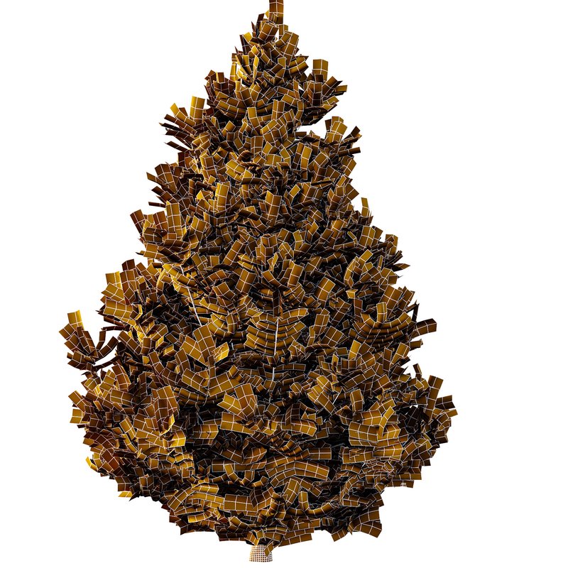 spruce tree005 - Image 5