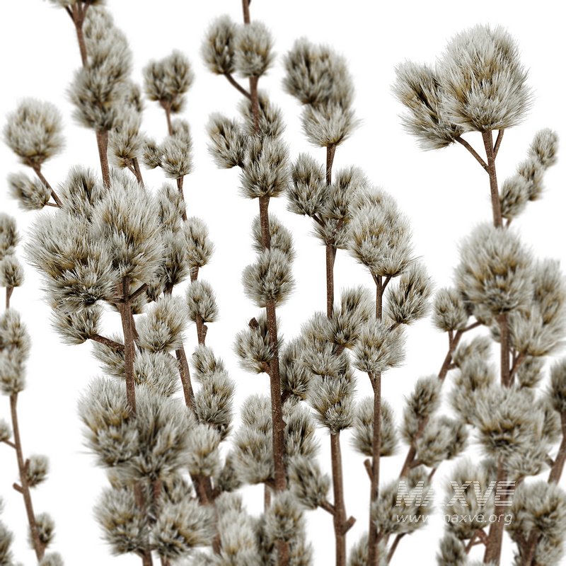 Set Bouquets 15 - Image 2