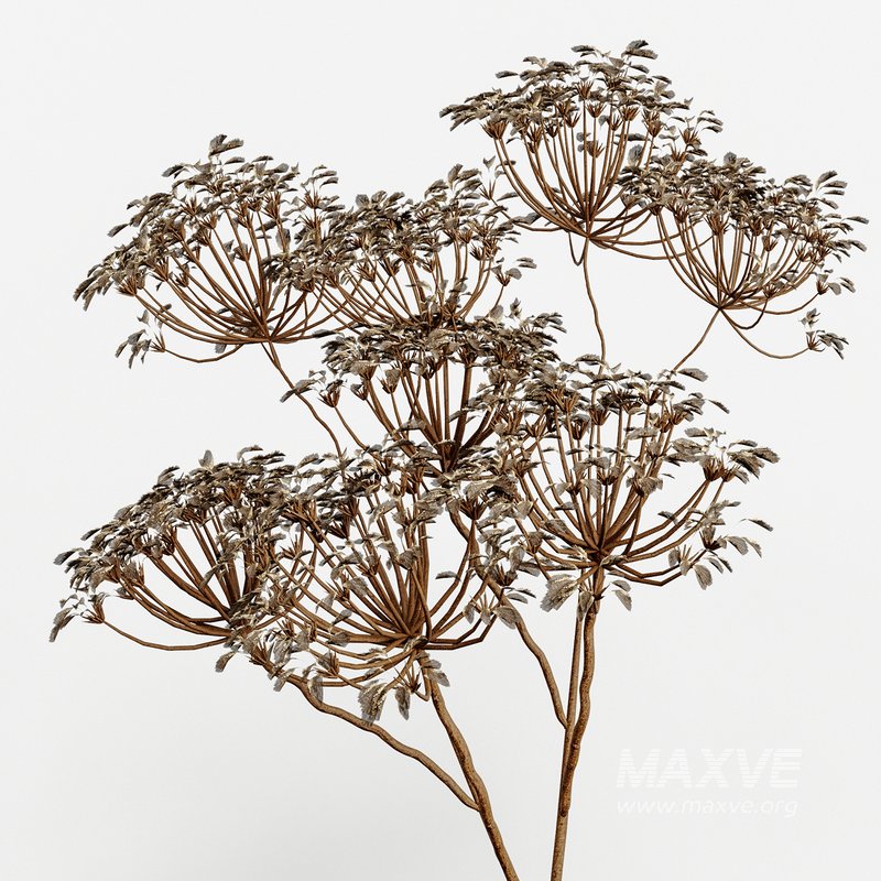 Set Bouquets Hazel - Image 3