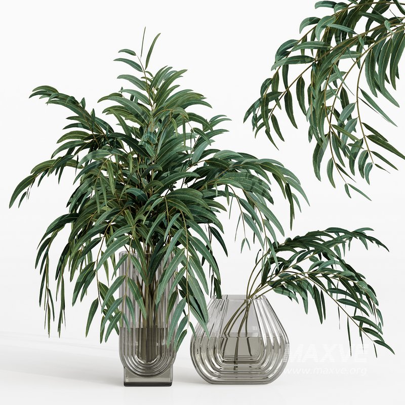 bouquets eucalyptus - Image 1