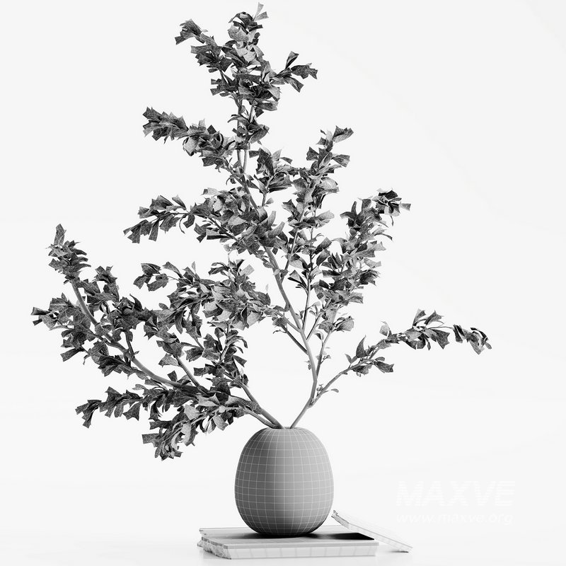 Bouquet 06 - Image 2