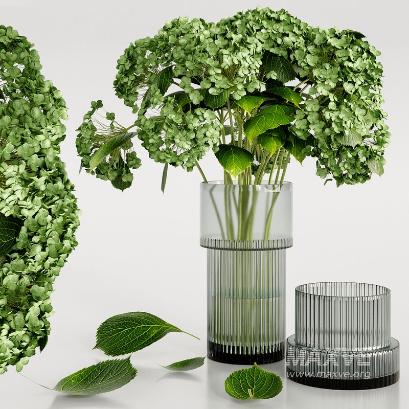 Set bouquet Hydrangea - Image 2