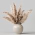 pampas grass in a vase - Thumbnail 2