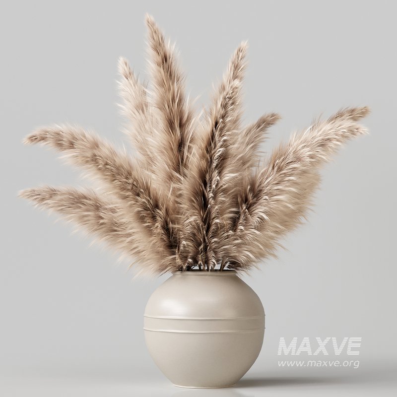 pampas grass in a vase - Image 2