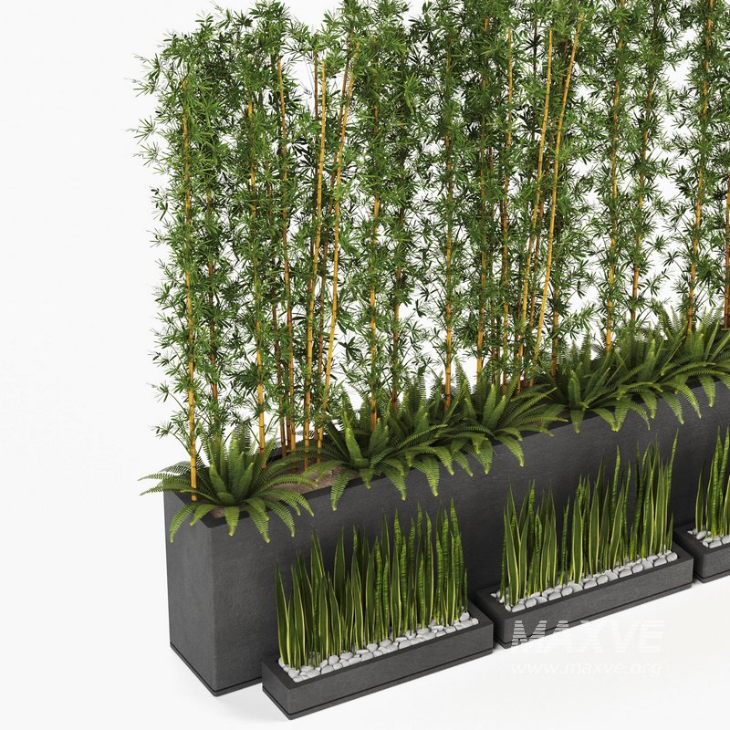 Plants In Box set-152 - Image 2