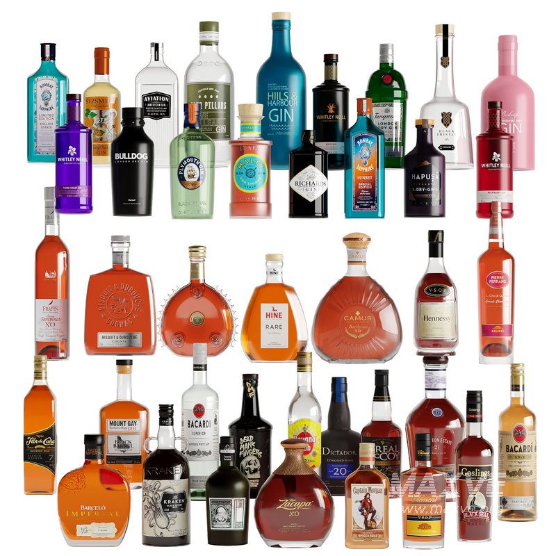 Bottles -40 Bottles:Gins,Rum,Congac - Image 2