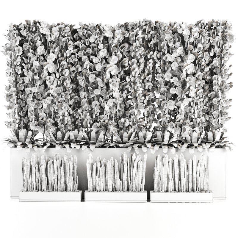 Plants In Box set-152 - Image 5