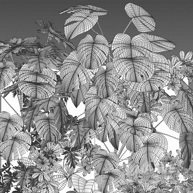 Vertical garden 18 - Image 2