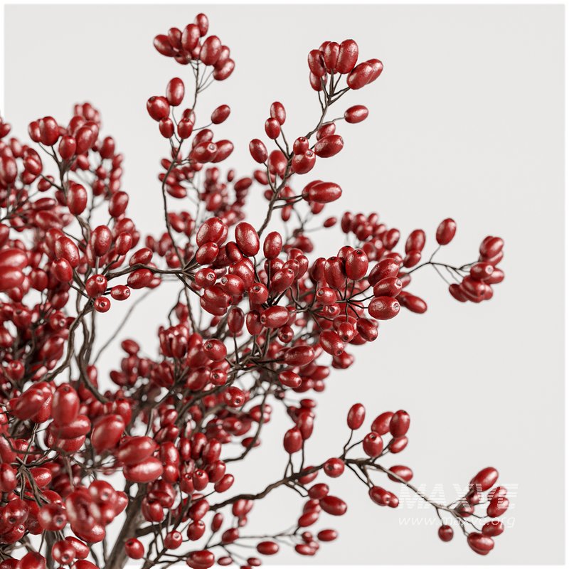 Kitchen Decor set5 - Image 3