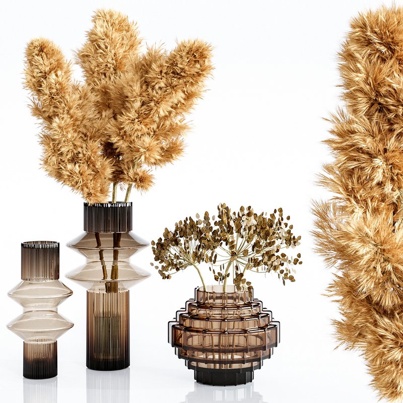 Set Bouquets pampas - Image 2