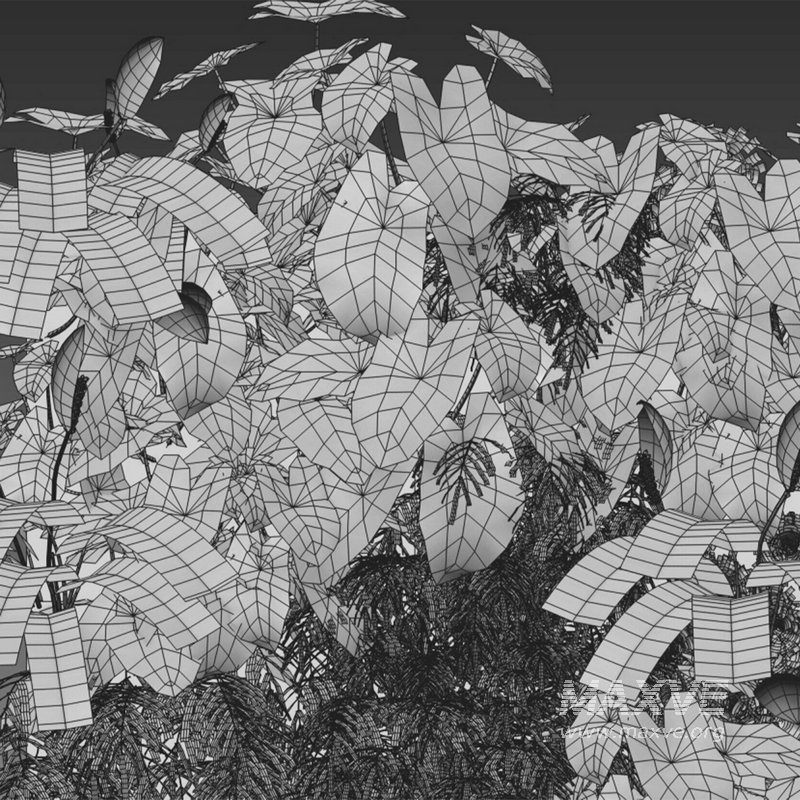 Vertical garden 17 - Image 2