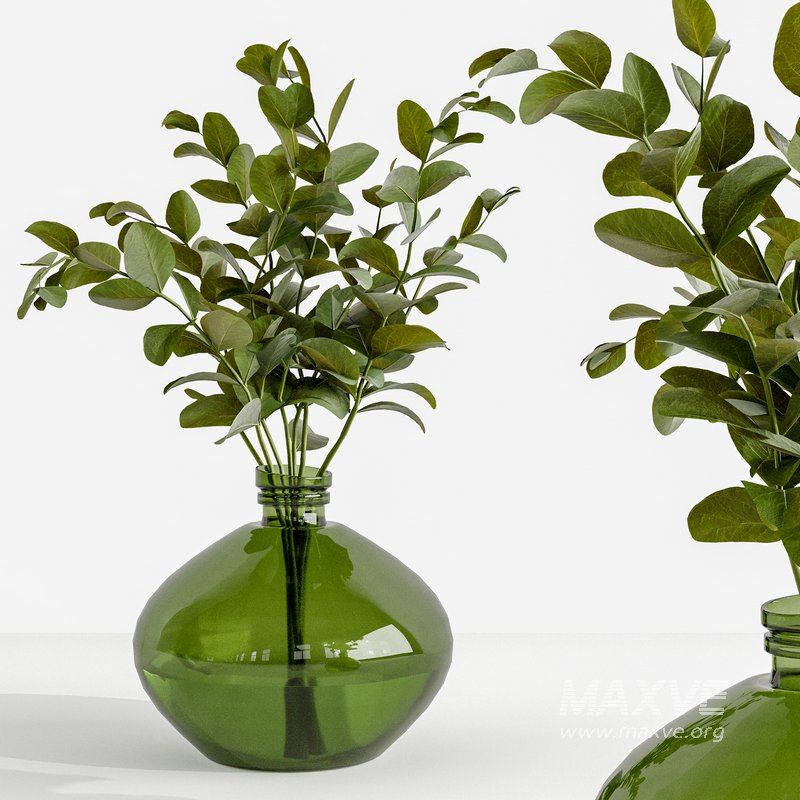 Set Bouquets eucalyptus - Image 3