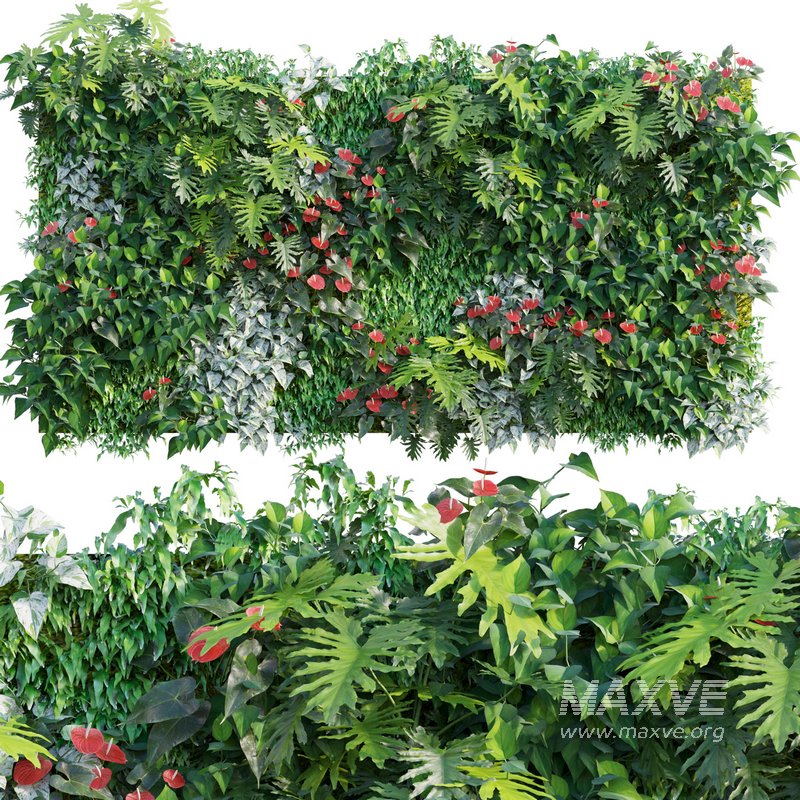 Vertical Garden 13 - Image 1