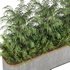 Plants In Box set-151 - Thumbnail 4
