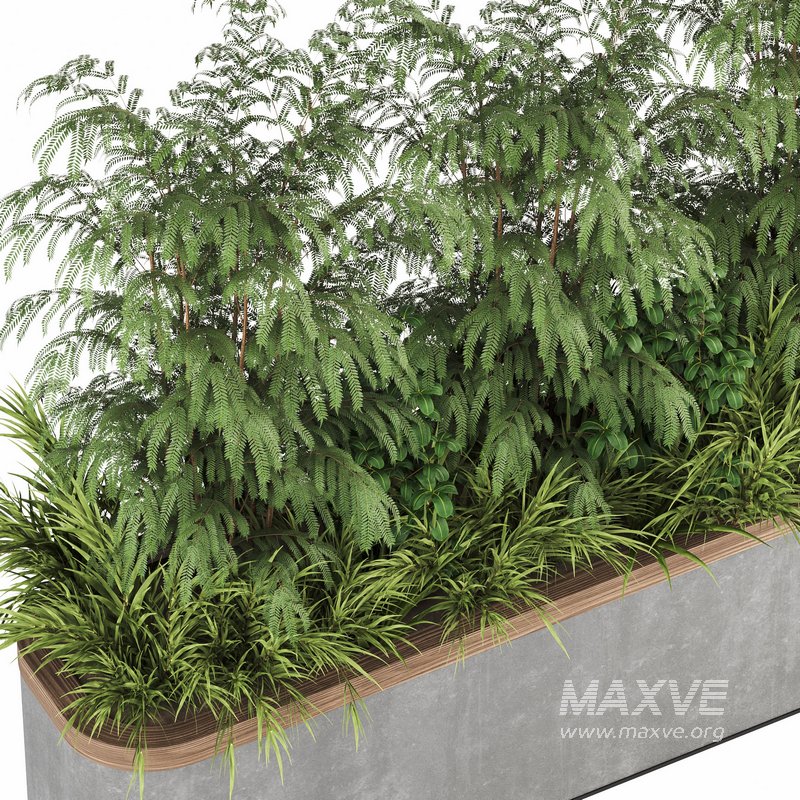 Plants In Box set-151 - Image 4