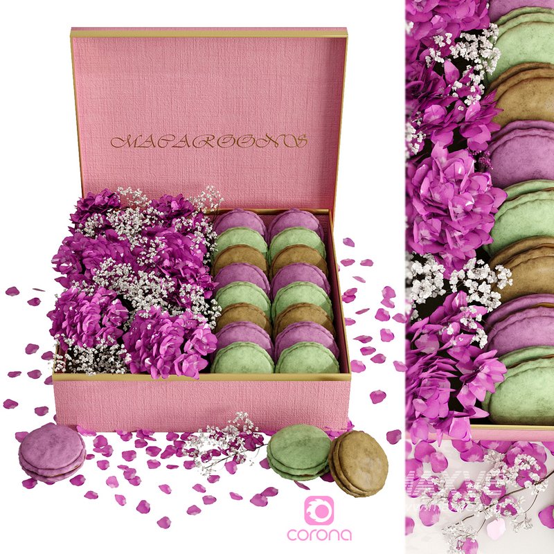 Box macarons 01 - Image 3