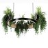 Indoorplants-Hanging plants set-83 - Thumbnail 4