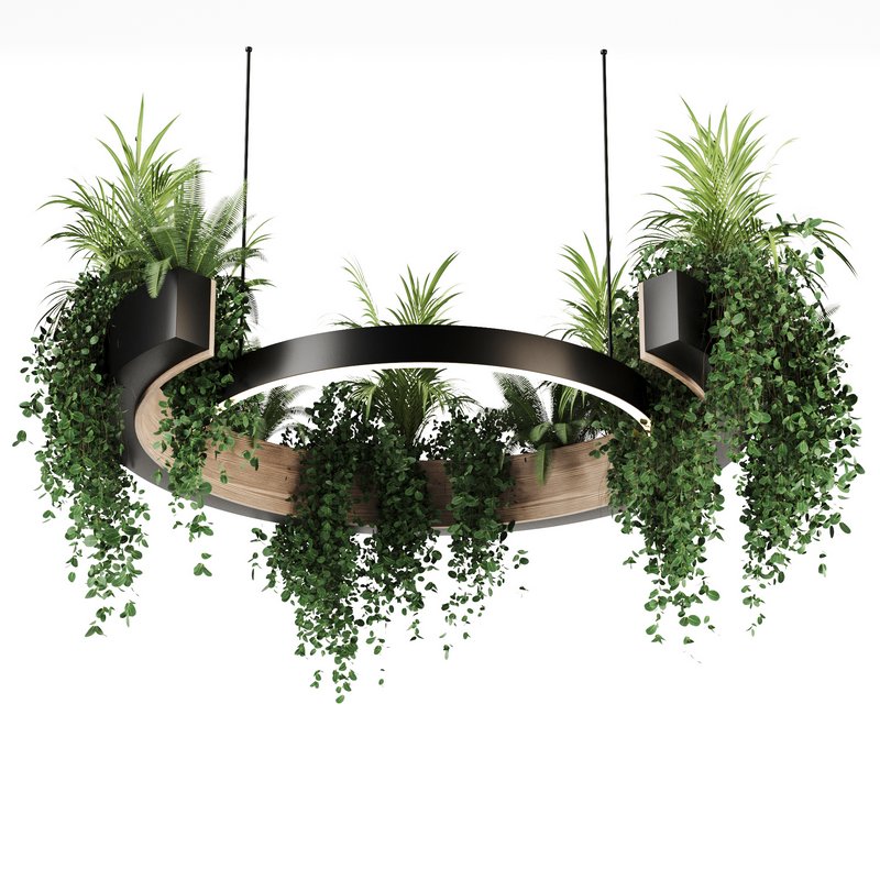Indoorplants-Hanging plants set-83 - Image 4