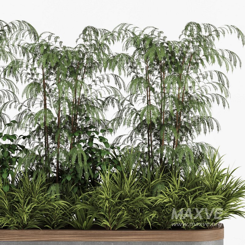 Plants In Box set-151 - Image 2