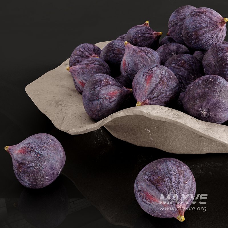Black Fig - Image 2