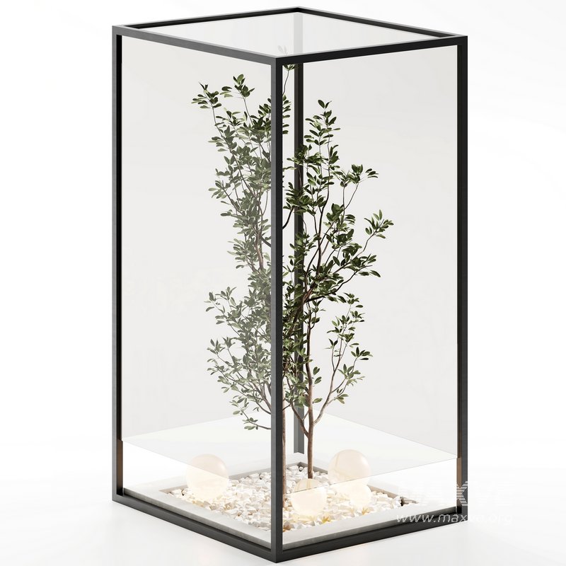 indoor plant set 32 - Image 2