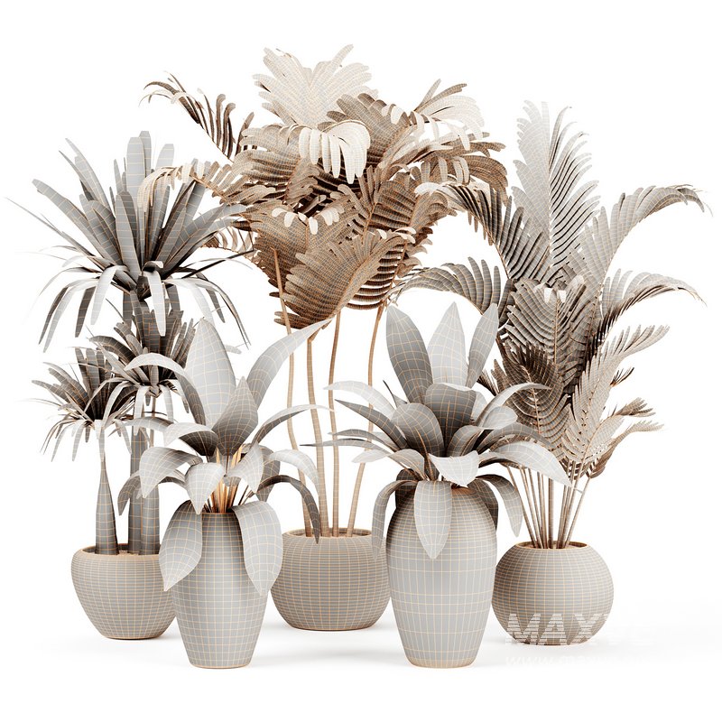 Indoorplants-153 - Image 6