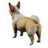 Corgi - Thumbnail 3