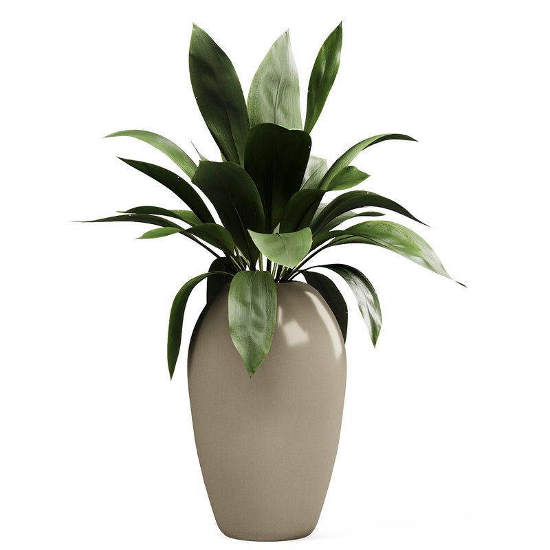 Indoorplants-153 - Image 2