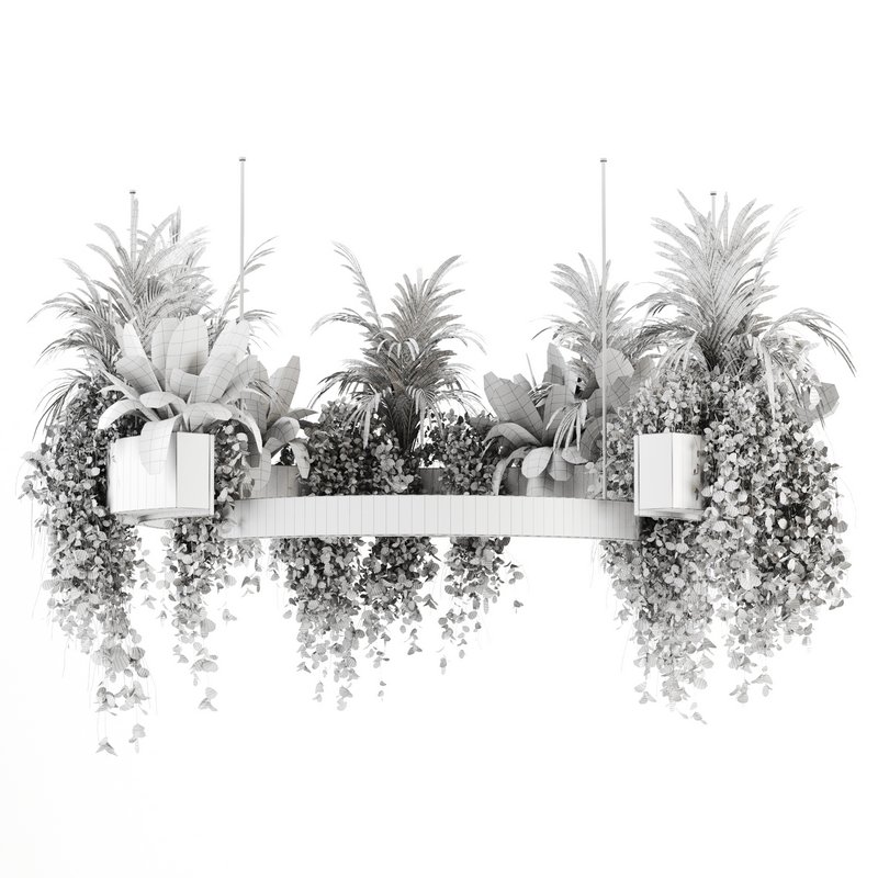 Indoorplants-Hanging plants set-83 - Image 2