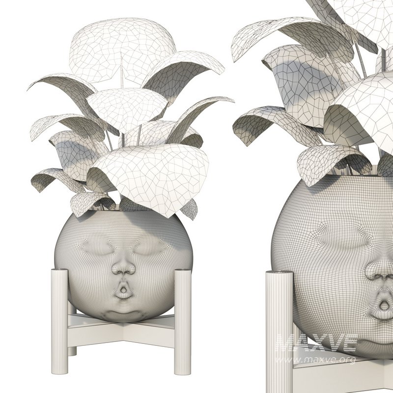 Decorative plant Open Mind - Image 3