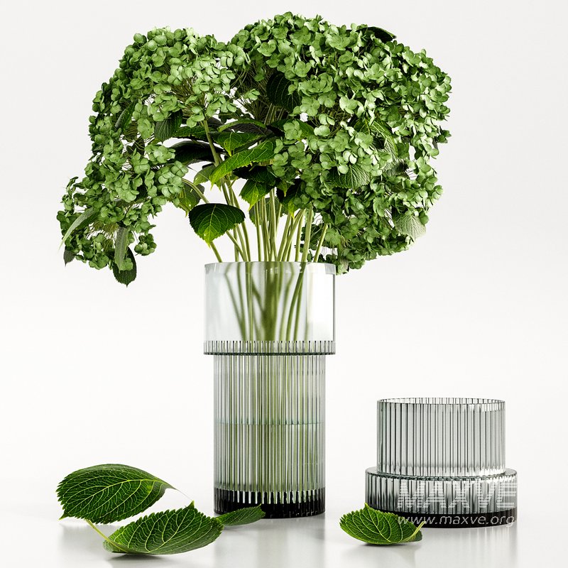 Set bouquet Hydrangea - Image 1