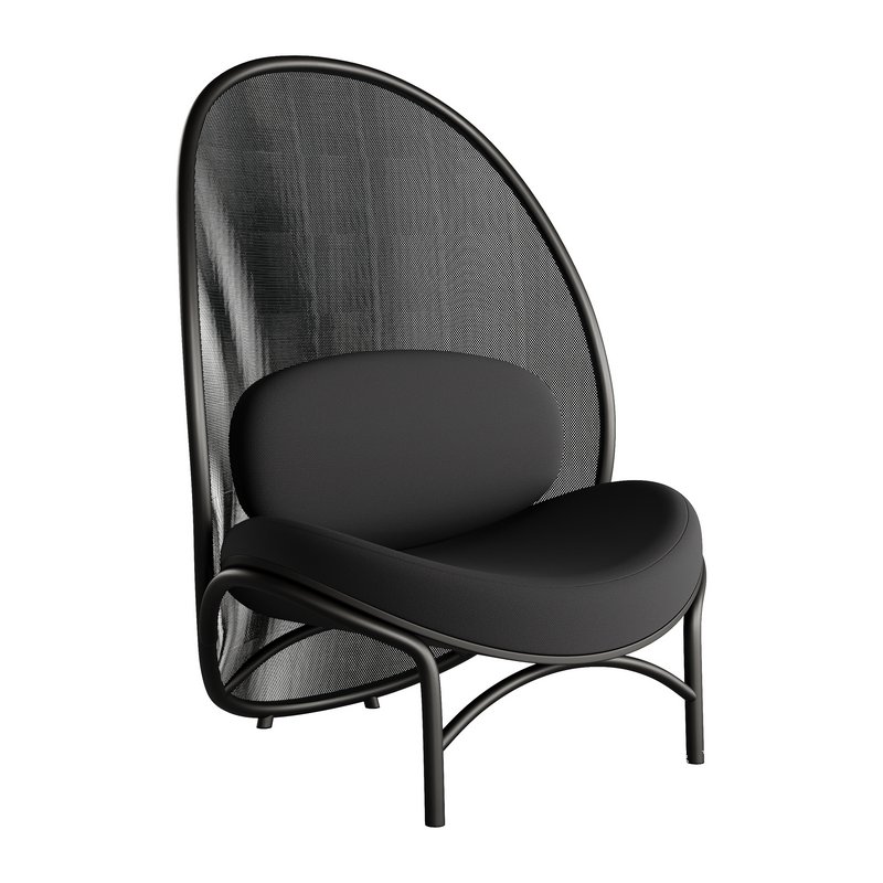 Chips Lounge Chair by TON - Image 4