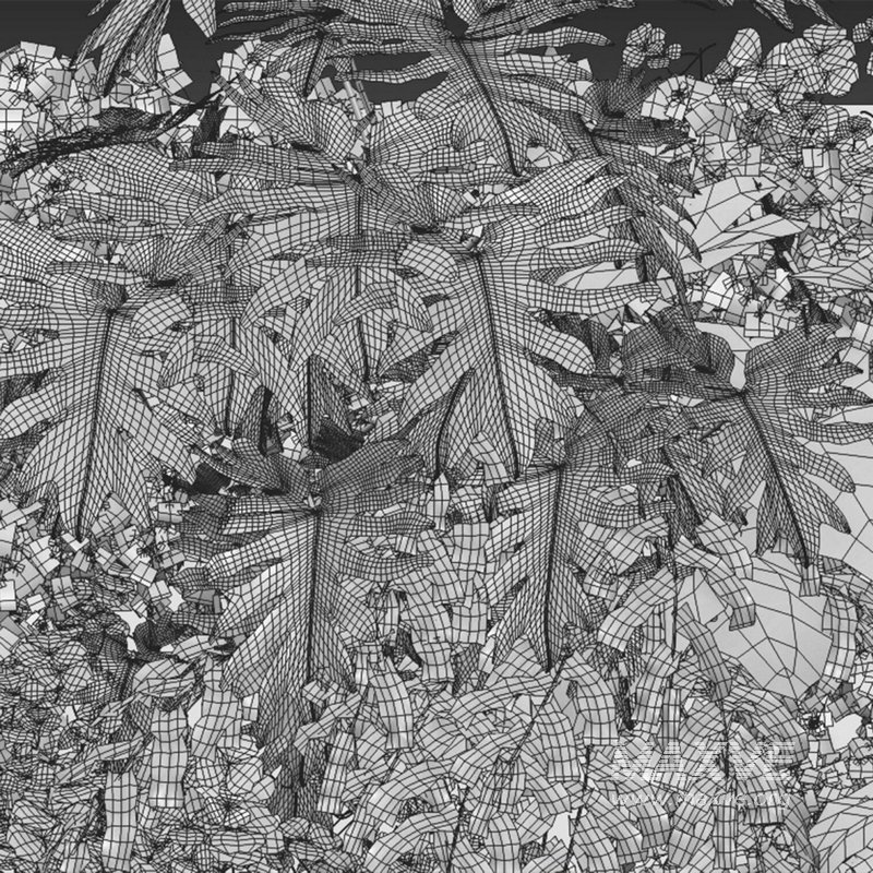 Vertical Garden 10 - Image 2