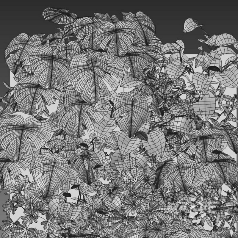 Vertical Garden 15 - Image 2