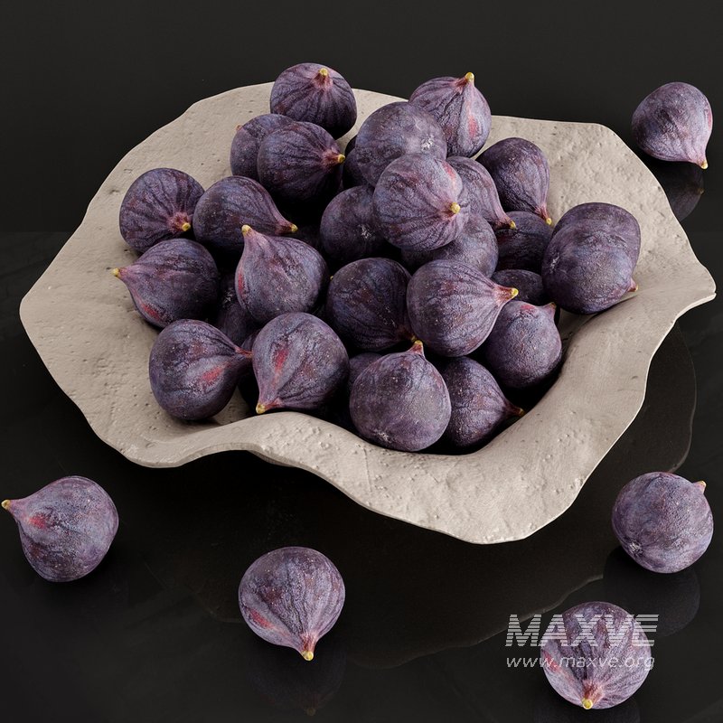 Black Fig - Image 3