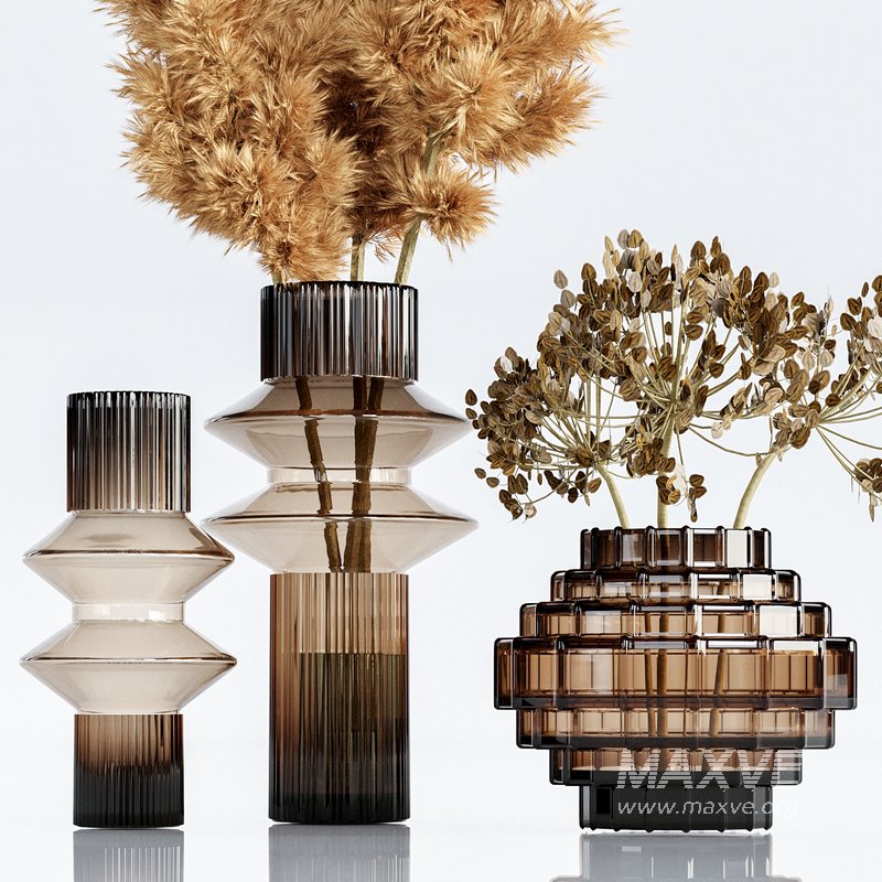 Set Bouquets pampas - Image 3