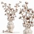 Beautiful Cotton Branches in a Ceramic Vase - Thumbnail 4