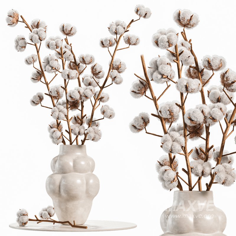 Beautiful Cotton Branches in a Ceramic Vase - Image 4