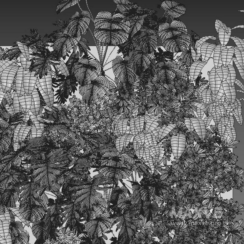 Vertical garden 08 - Image 2