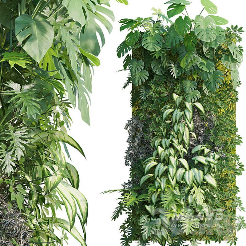 Vertical garden 18 - Image 1