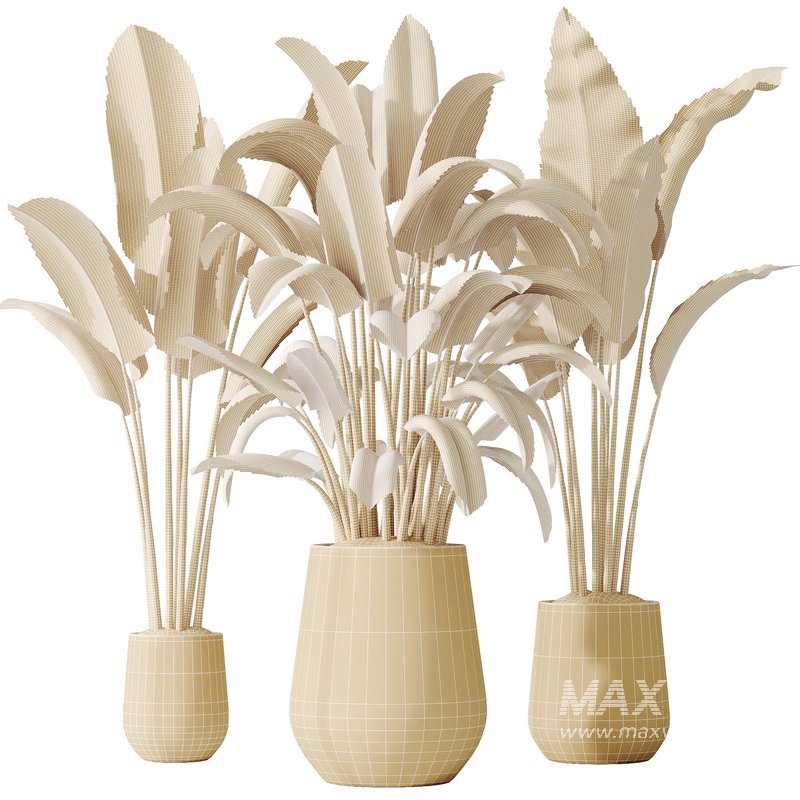 AV Indoor plants set 143 Bird Of ParadiseBird - Image 4