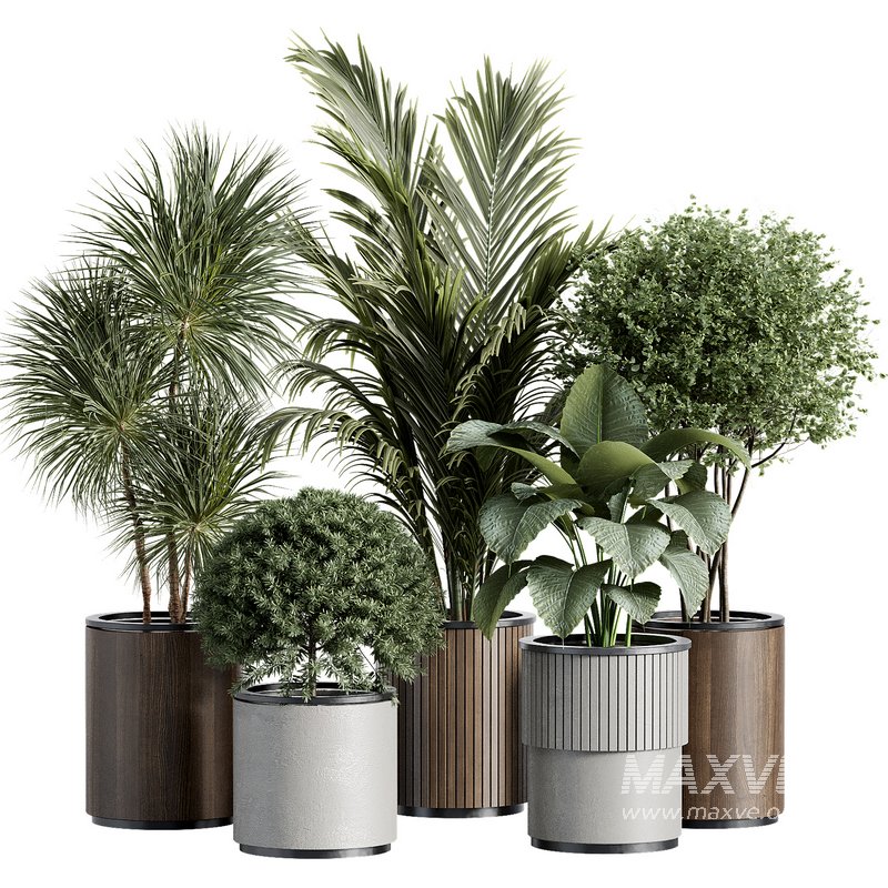 Outdoor Plant 35 - Image 4