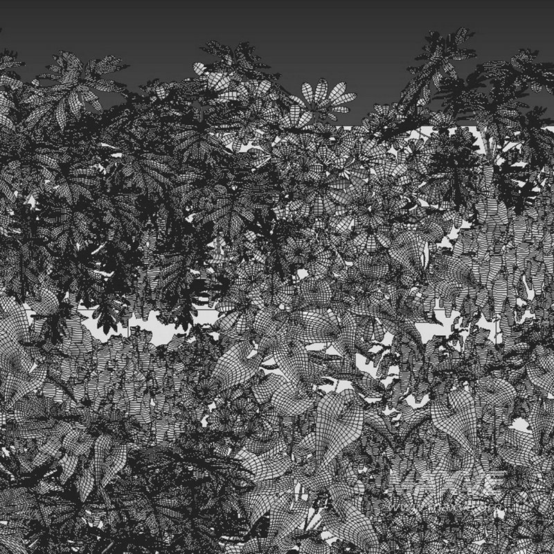 Vertical garden 02 - Image 2