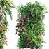 Vertical garden 23 - Thumbnail 1