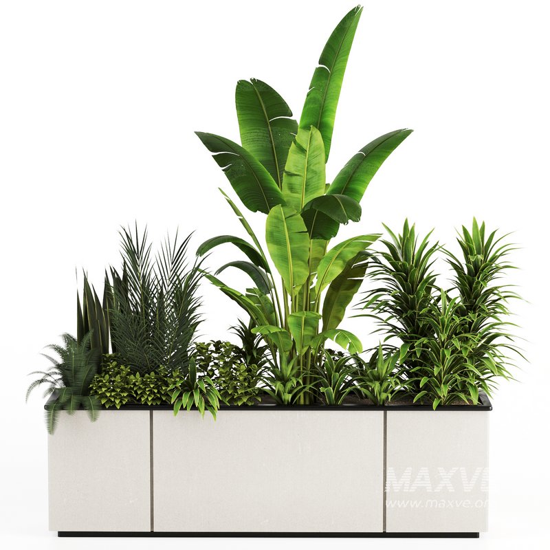 Indoorplants-Plants in Boxset150 - Image 2