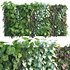 Vertical garden 07 - Thumbnail 1