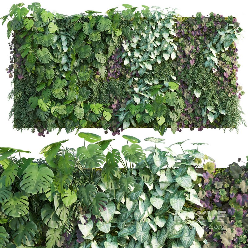 Vertical garden 07 - Image 1