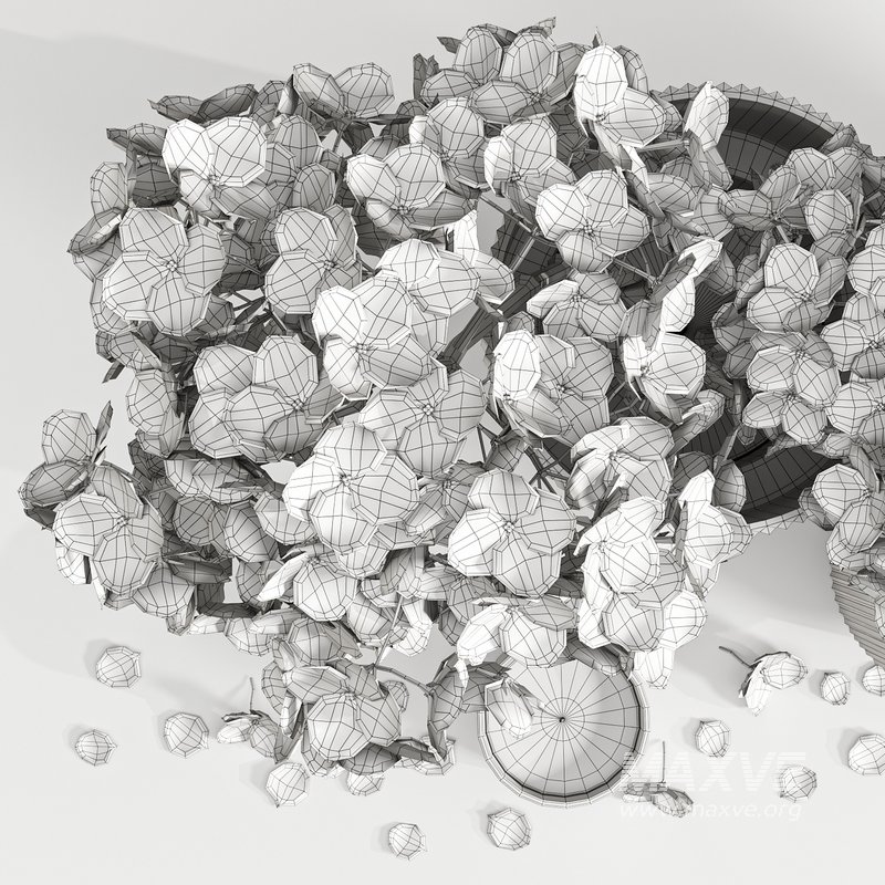 Set Bouquets 16 - Image 4