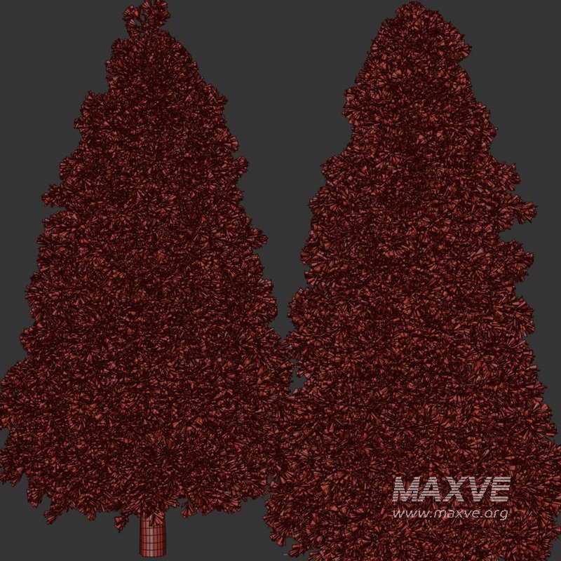 Pine Tree Set28 - Image 4