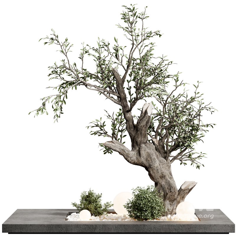 indoor plant set 31 - Image 1